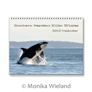 2013 Southern Resident Killer Whale Calendar
